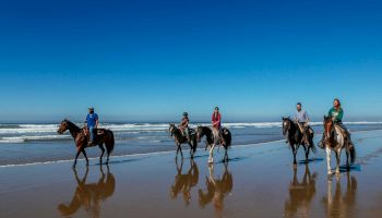 Five people riding horses along the shoreline of a beach on a clear day with a blue sky reflected in the wet sand.