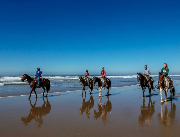 A group of people riding horses along a sandy beach, with the ocean and clear blue sky in the background.