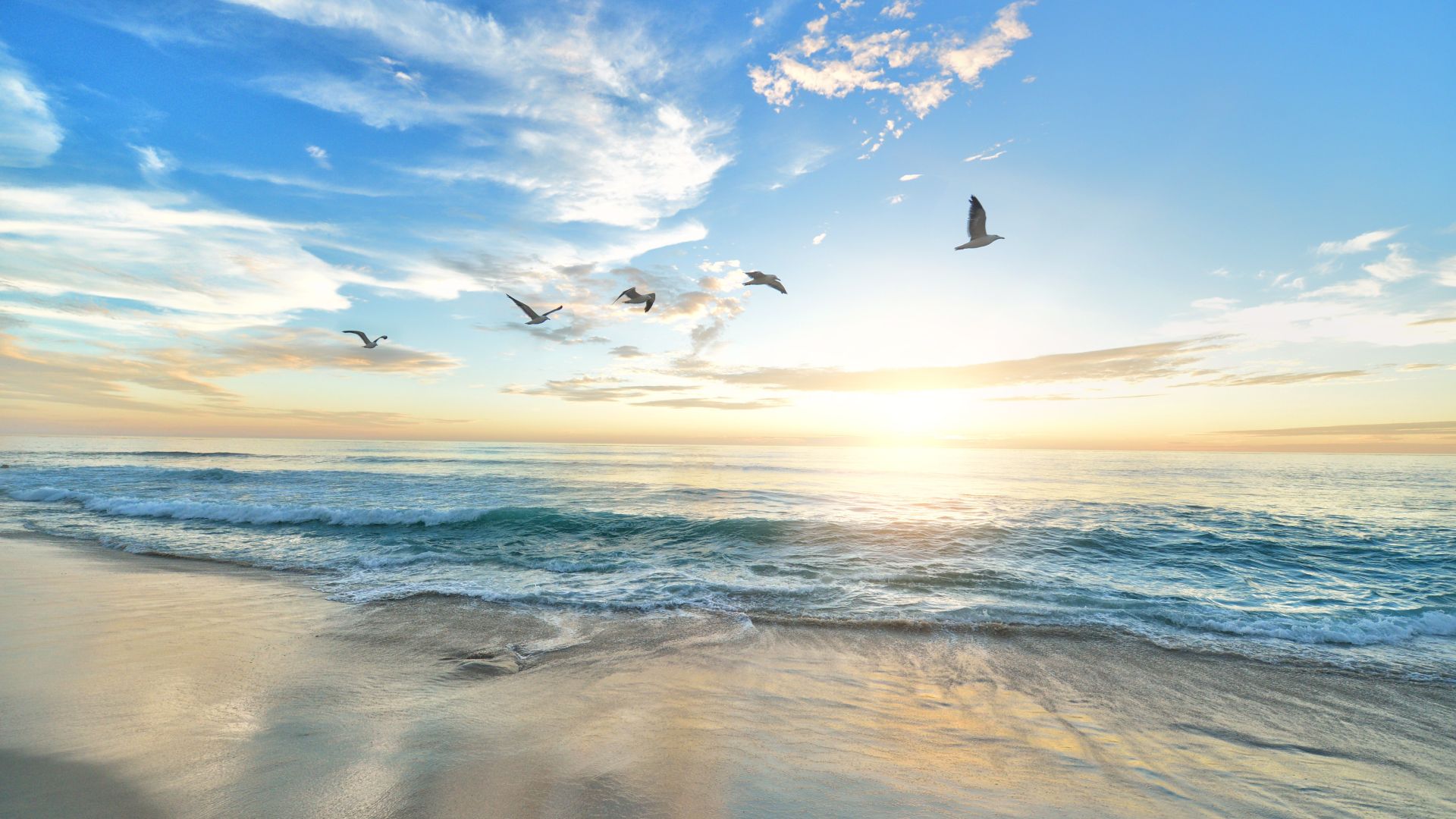 A serene beach scene at sunrise with waves gently hitting the shore, and several birds flying in the sky.