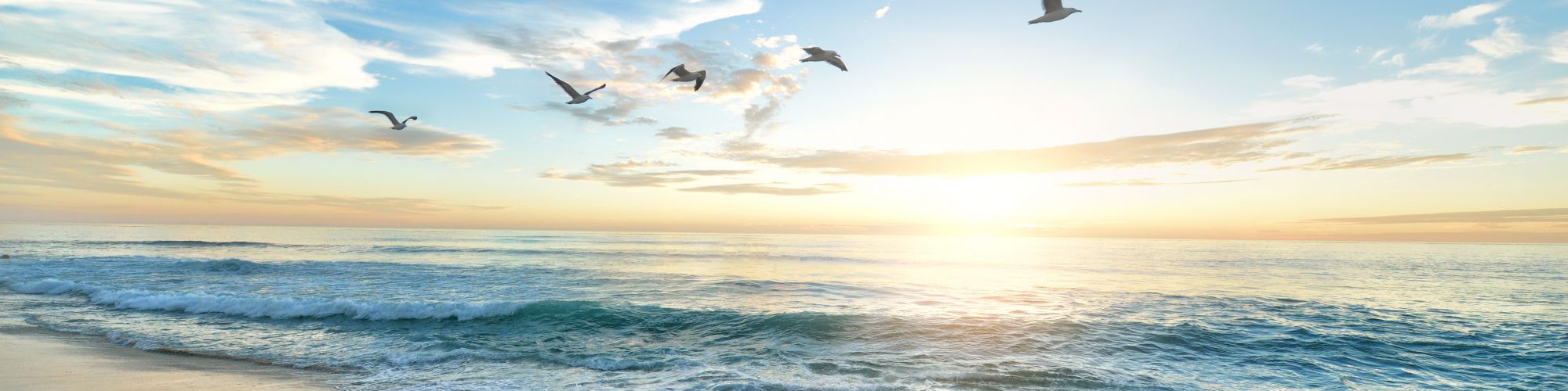 A serene beach scene at sunrise with waves gently hitting the shore, and several birds flying in the sky.