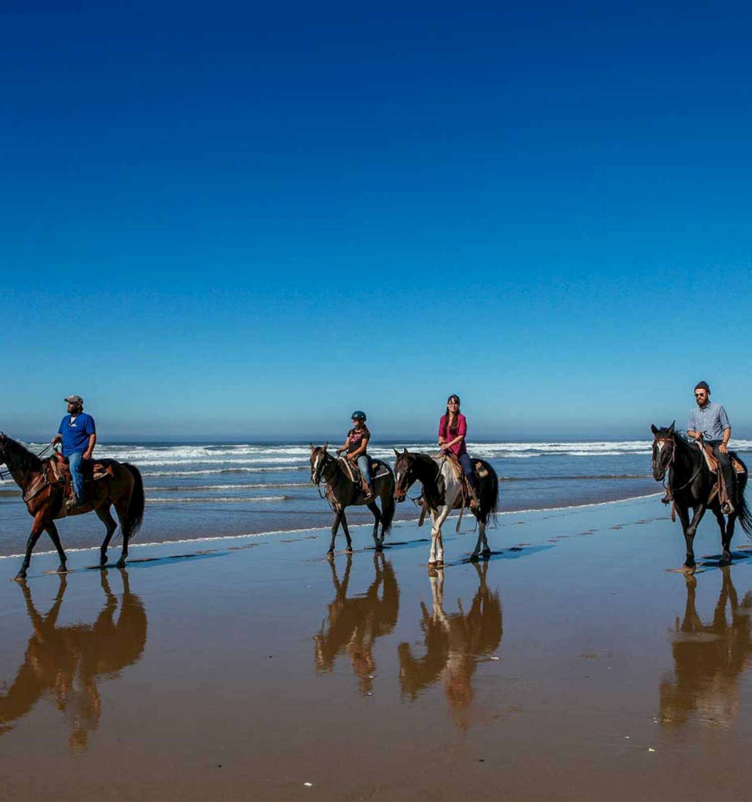 Five people are riding horses along a sandy beach near the ocean under a clear blue sky.