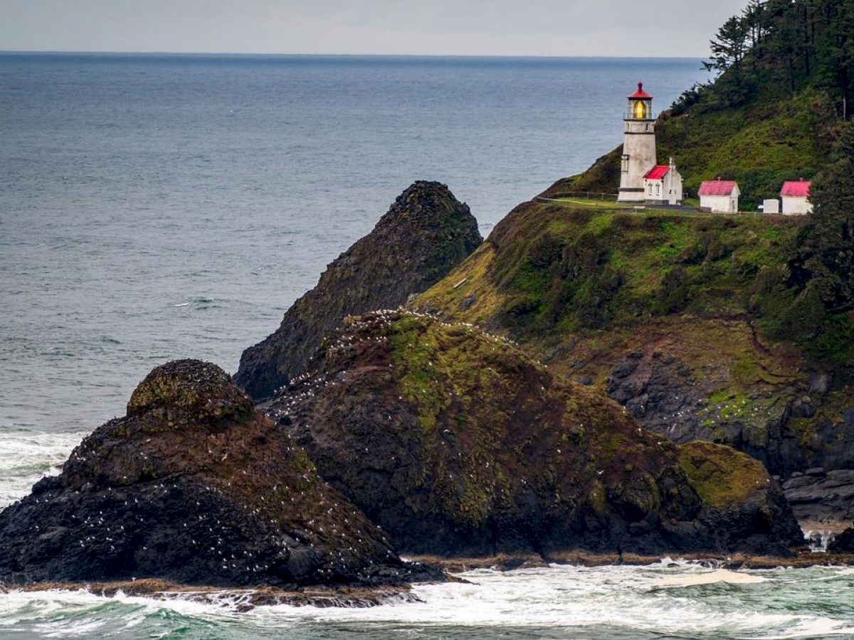 A lighthouse stands atop a rocky hill overlooking the ocean with a few small white and red-roofed buildings nearby, surrounded by lush green vegetation.