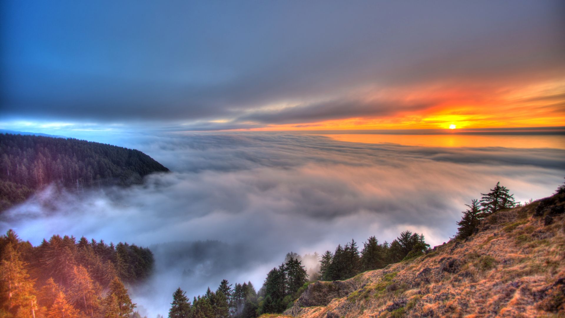 A stunning landscape with a sunset over a forested mountain, with clouds blanketing the valley below, creating a serene and picturesque scene.