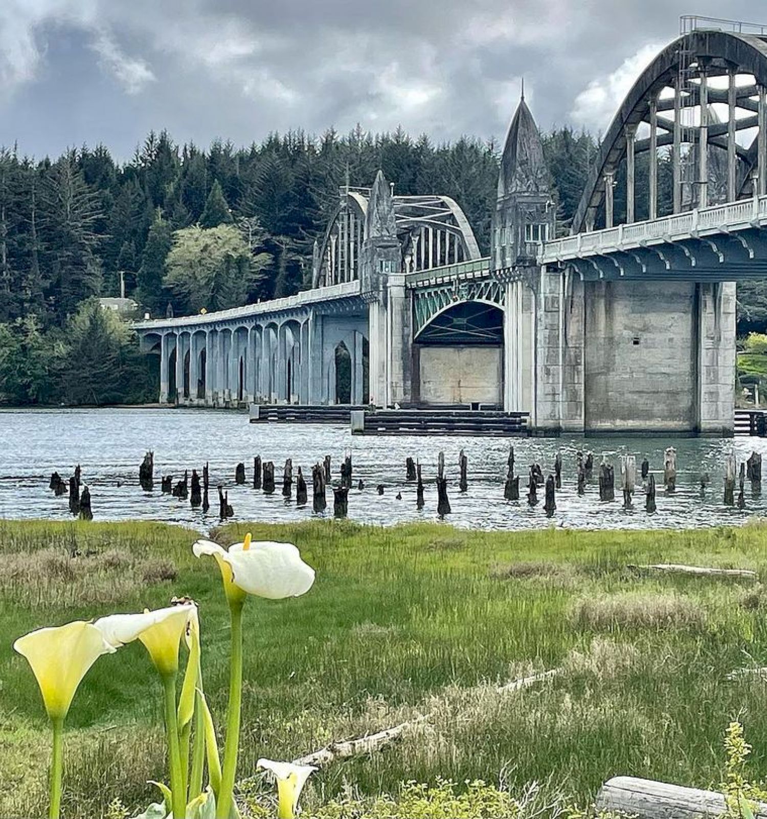 A large arched bridge spans a river with lily flowers in the foreground and a wooded area in the background, under a cloudy sky.