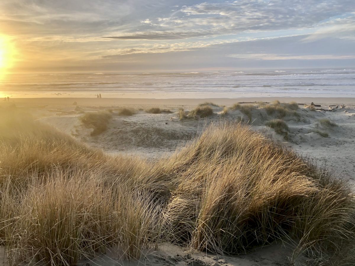 The image shows a serene beach at sunset with grassy sand dunes in the foreground and the ocean in the distance.