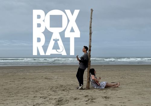 Two people on a beach, one standing with a guitar and a long pole propping another person who sits against it; large &ldquo;BOX RAT&rdquo; logo overlays the scene.