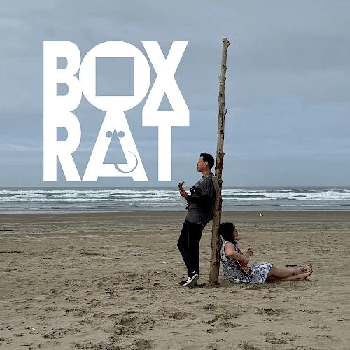 Two people on a beach, one standing with a guitar and a long pole propping another person who sits against it; large &ldquo;BOX RAT&rdquo; logo overlays the scene.